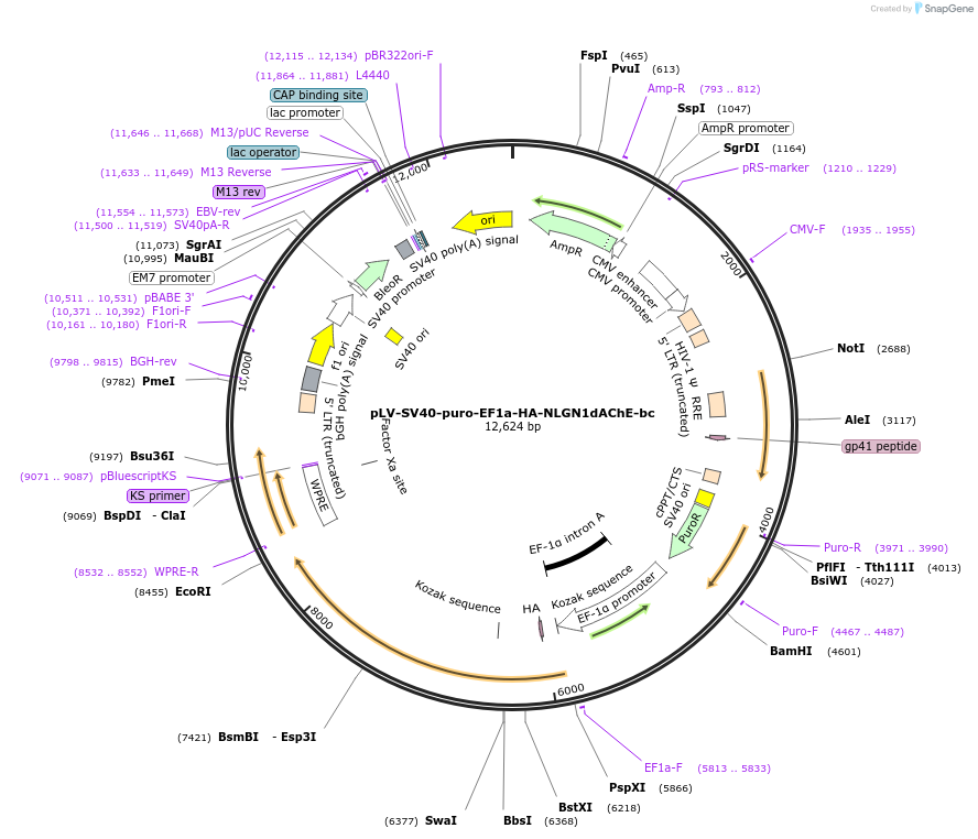 436030_map