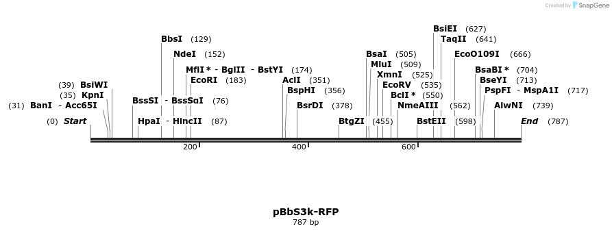 43606_map