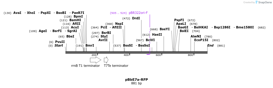 43607_map