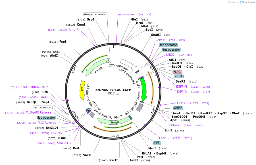 436074_map