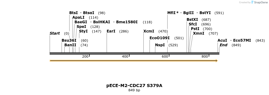 43613_map