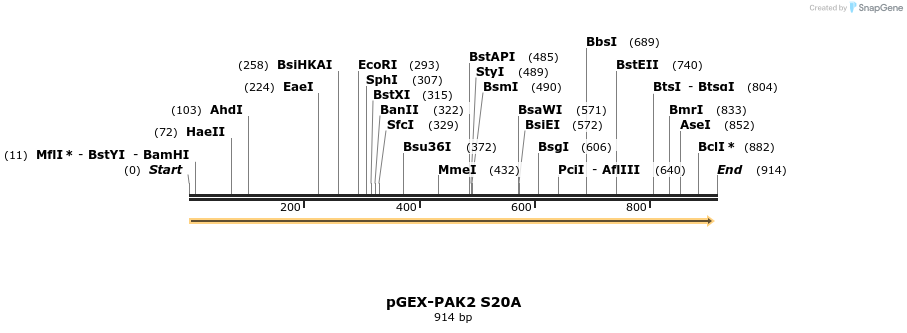 43617_map