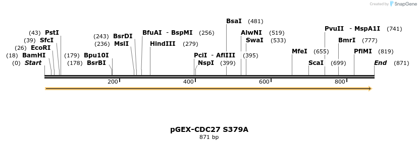 43618_map