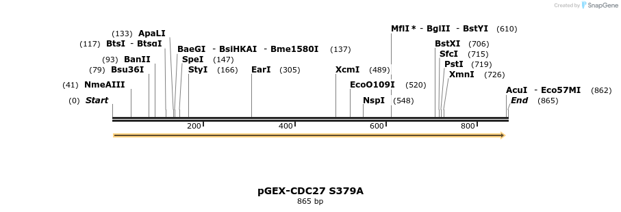 43619_map