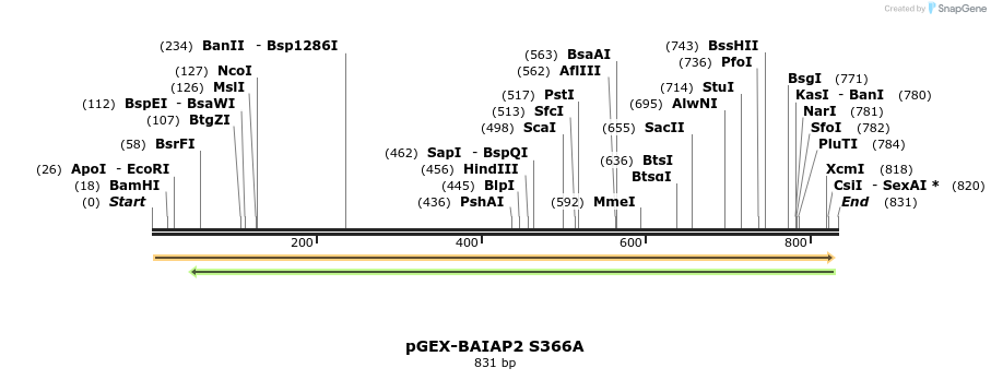 43620_map