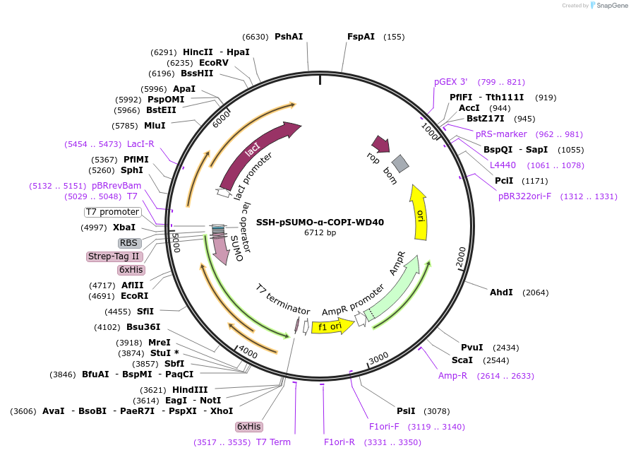 436201_map