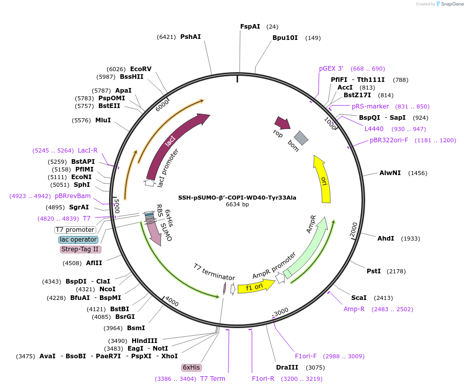 436202_map