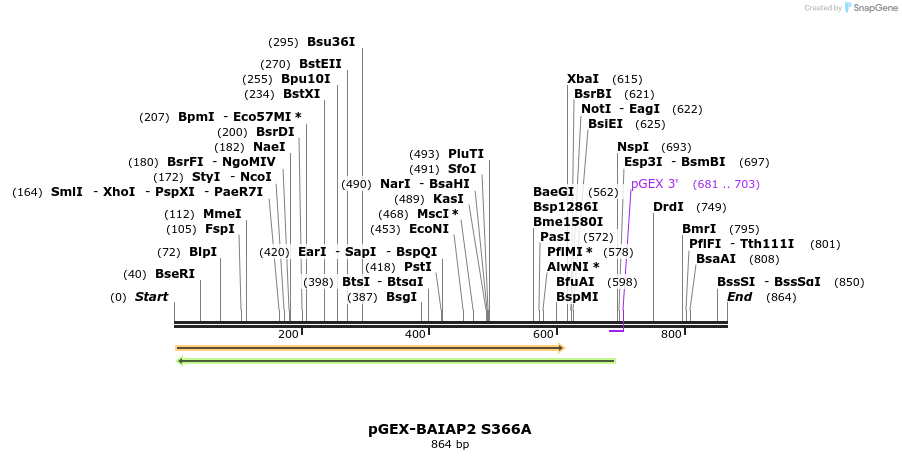 43621_map