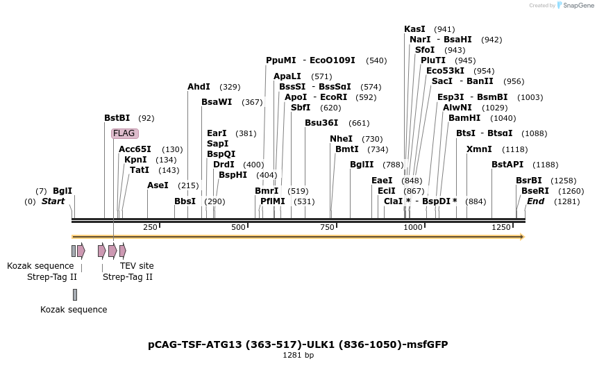 436290_map