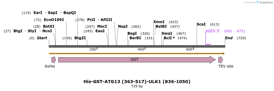 436292_map