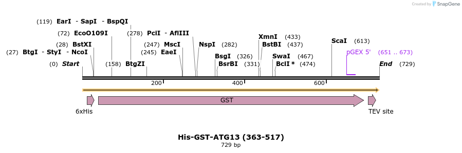 436294_map