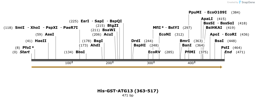 436295_map