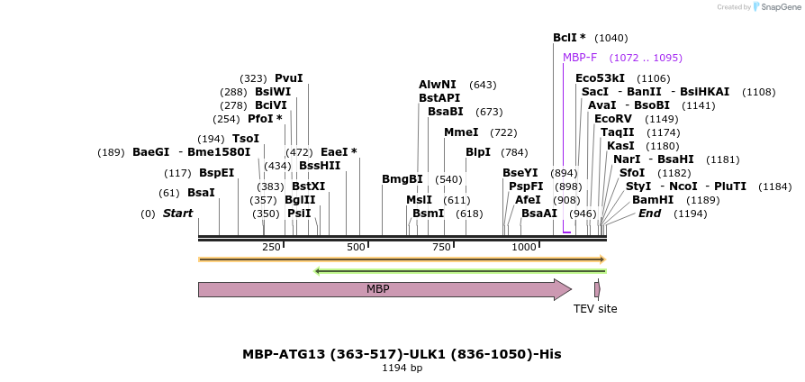 436296_map