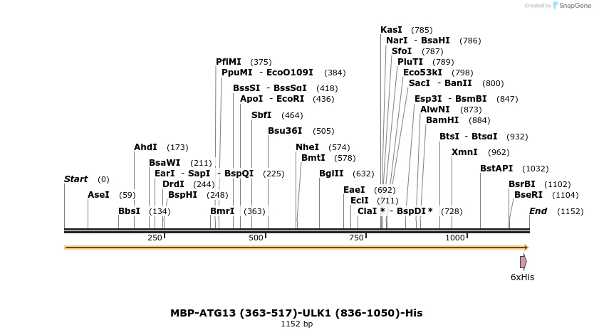 436297_map