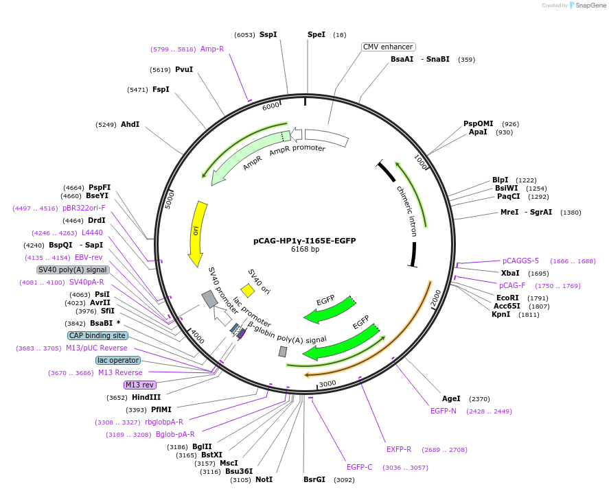 436310_map
