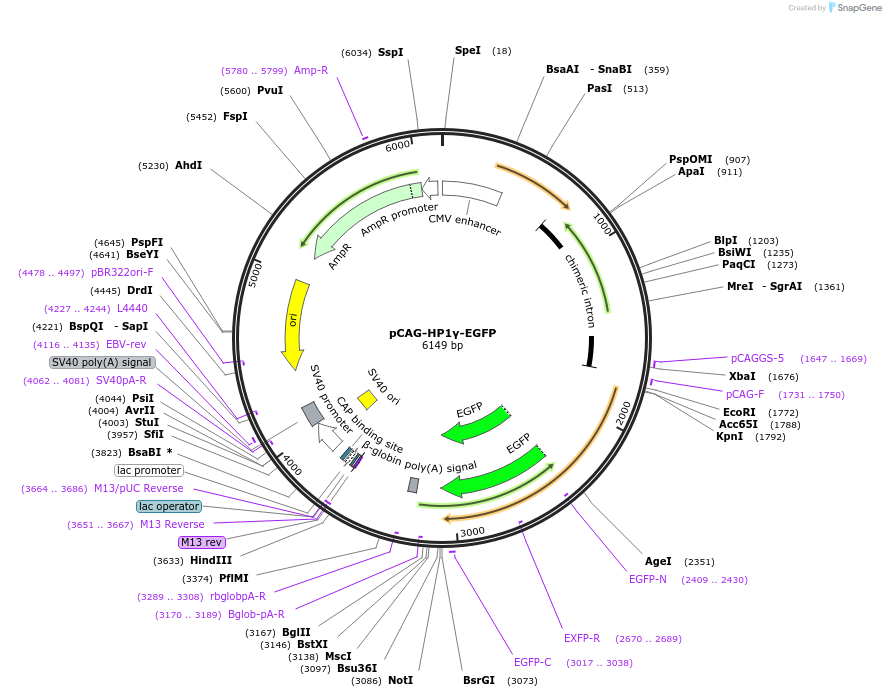 436315_map