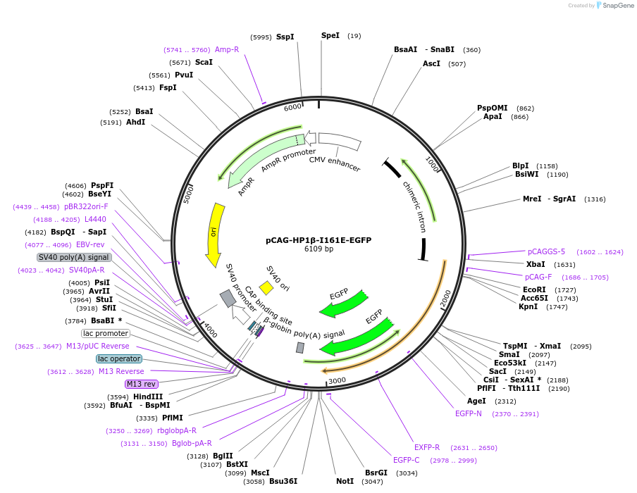 436321_map