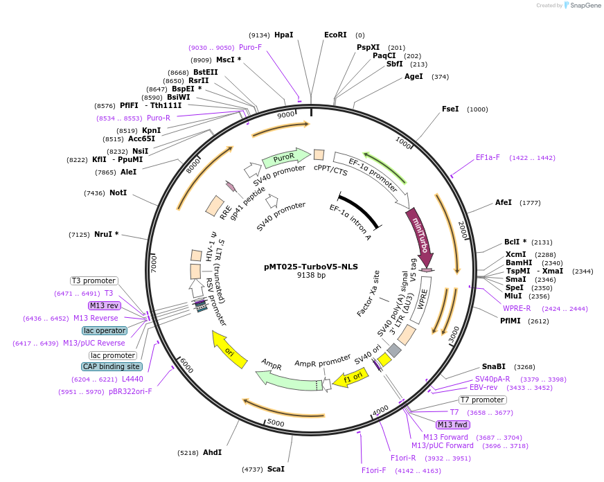 436374_map