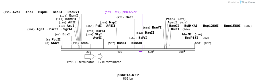 43665_map