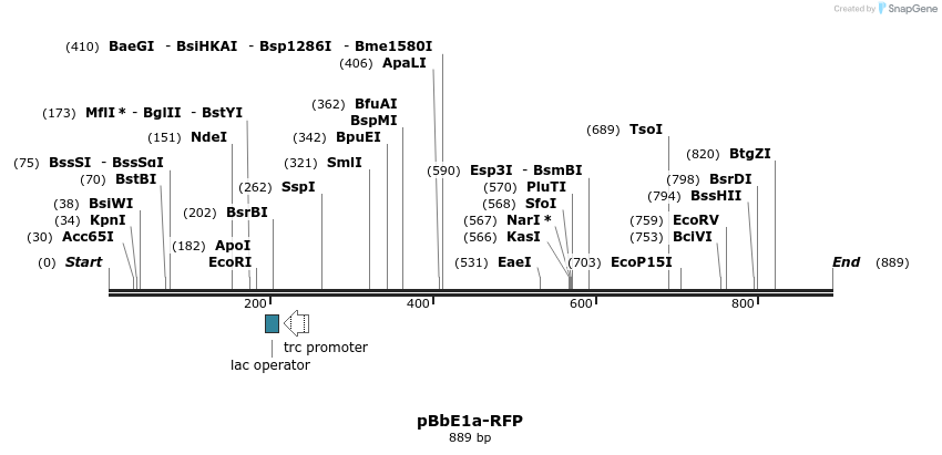 43666_map