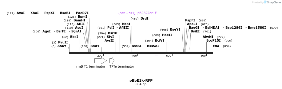 43669_map