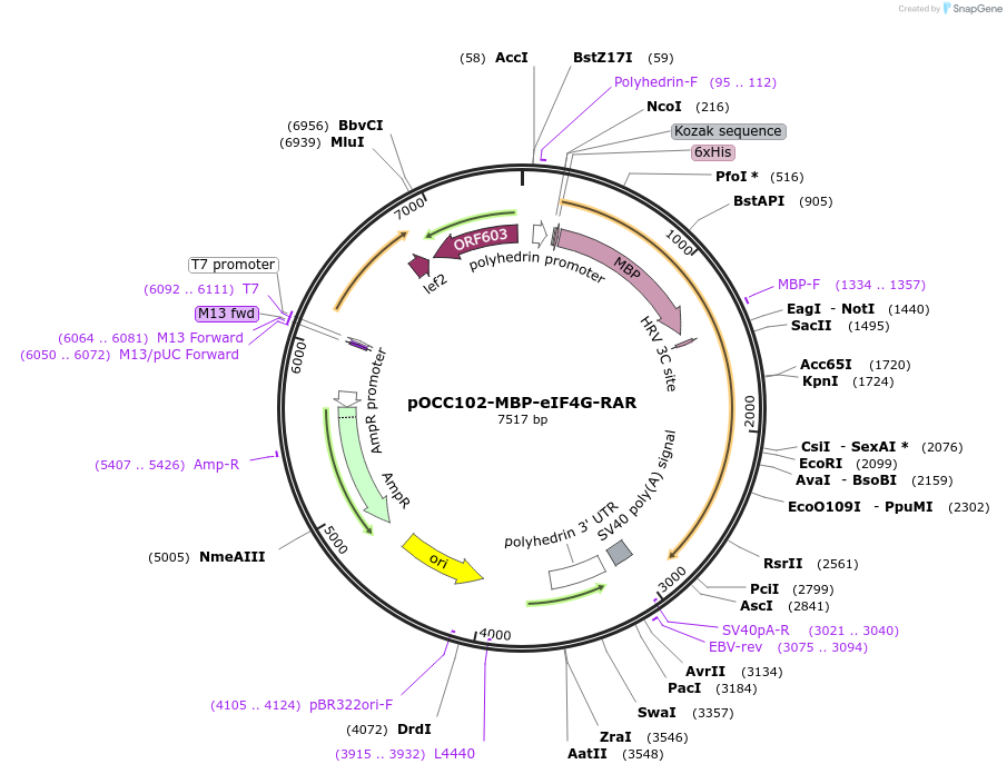 436750_map