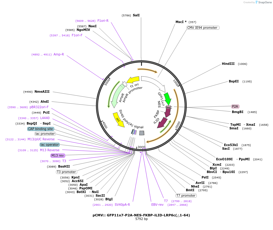 436960_map
