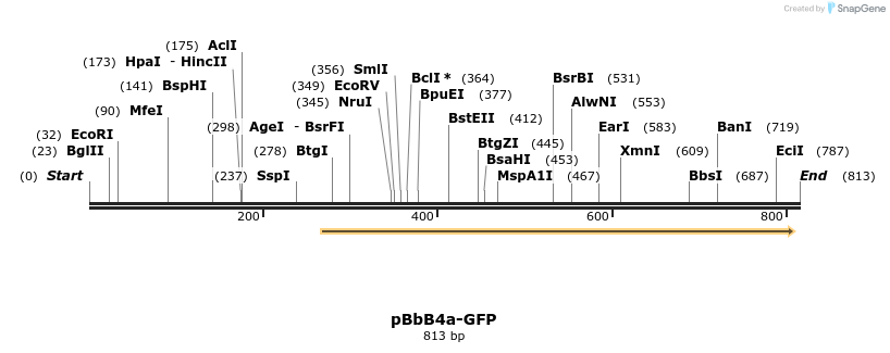 43700_map