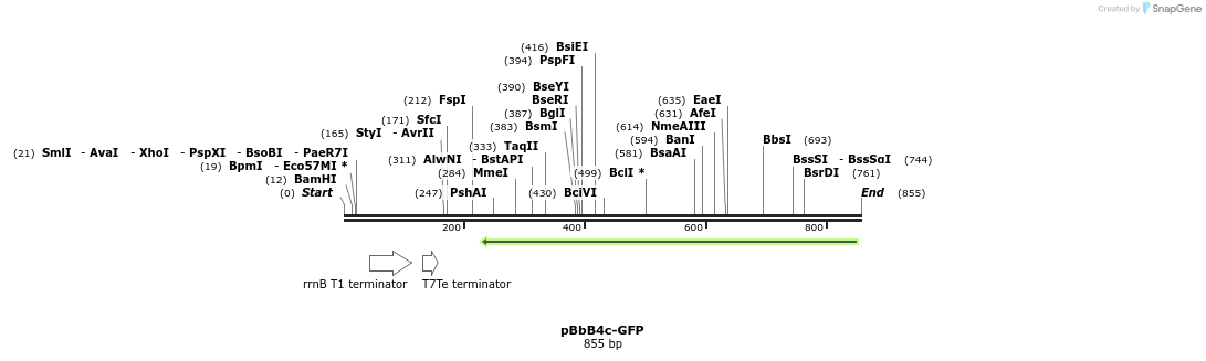 43701_map