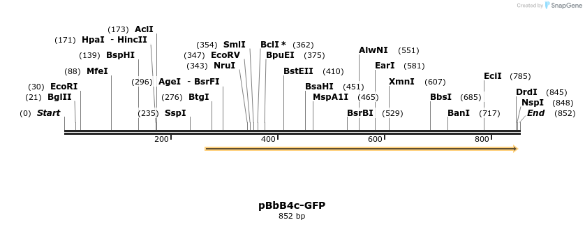 43702_map