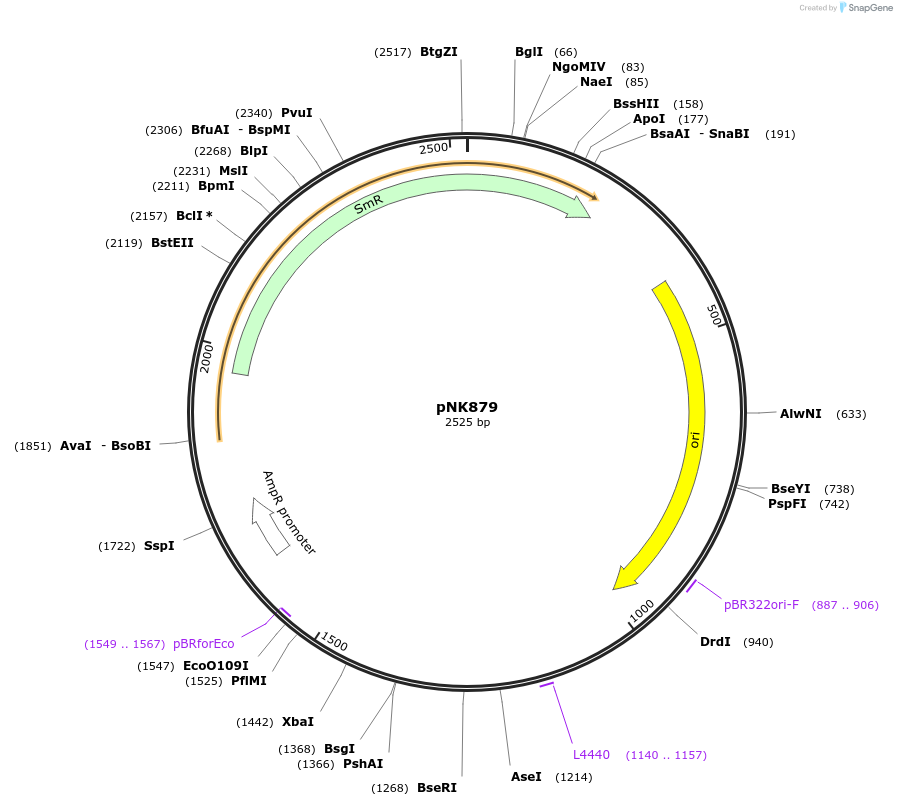 437051_map