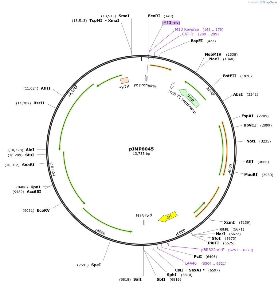 437060_map