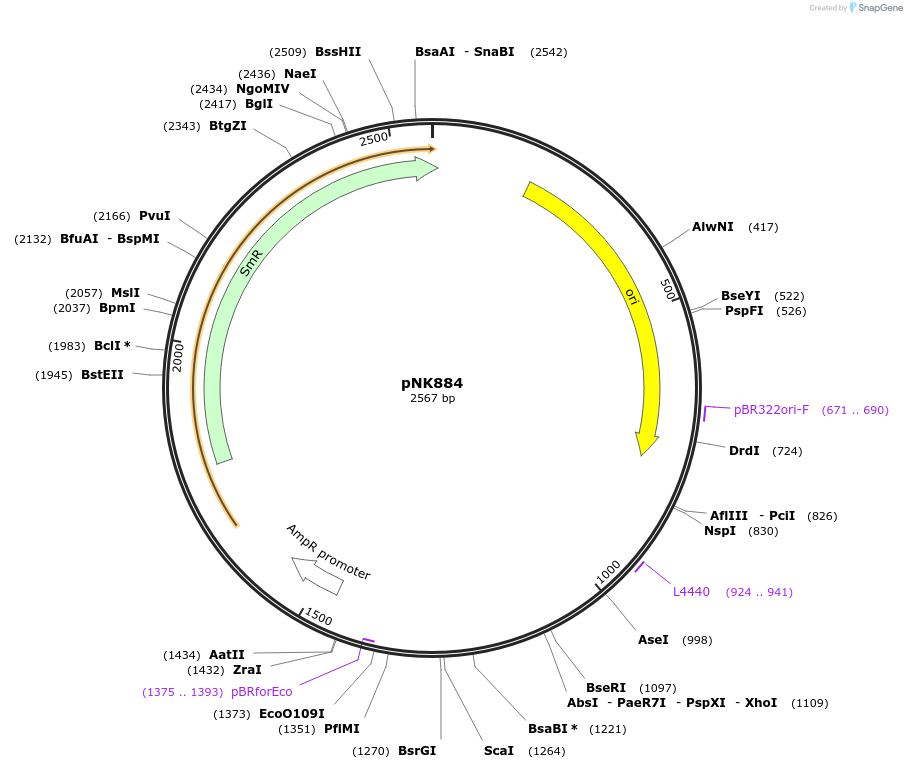 437070_map