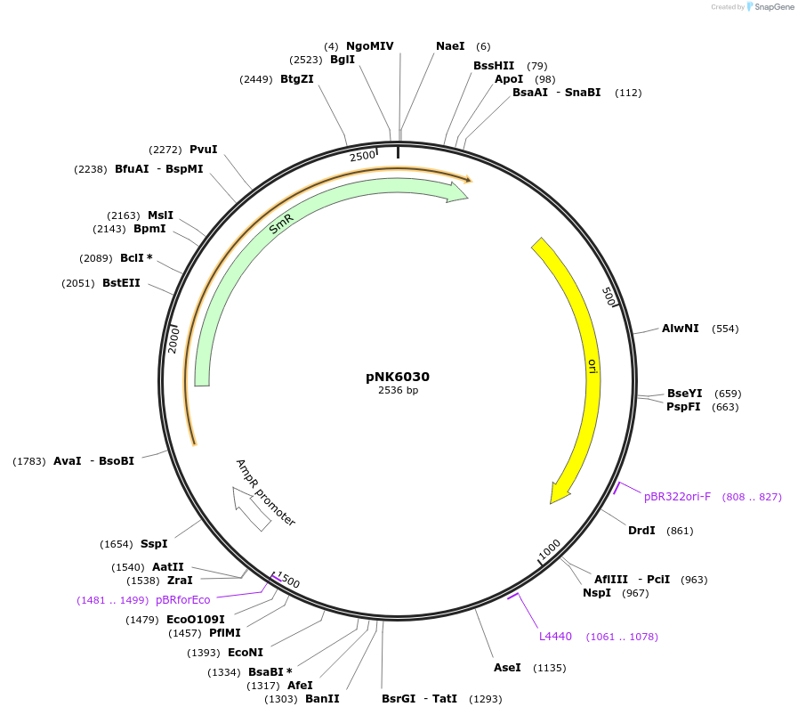 437071_map