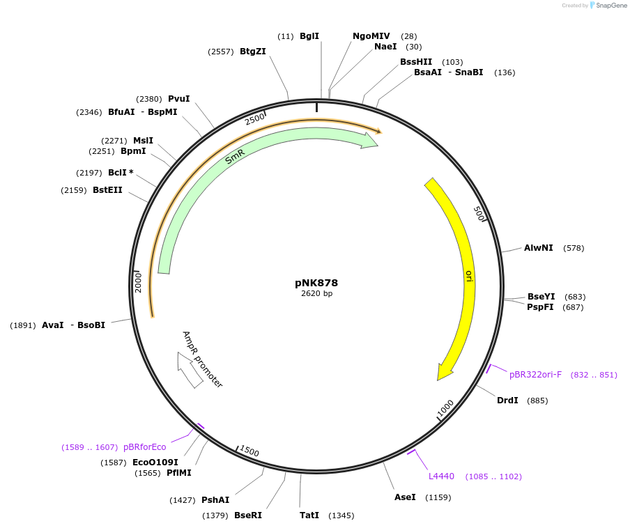 437075_map