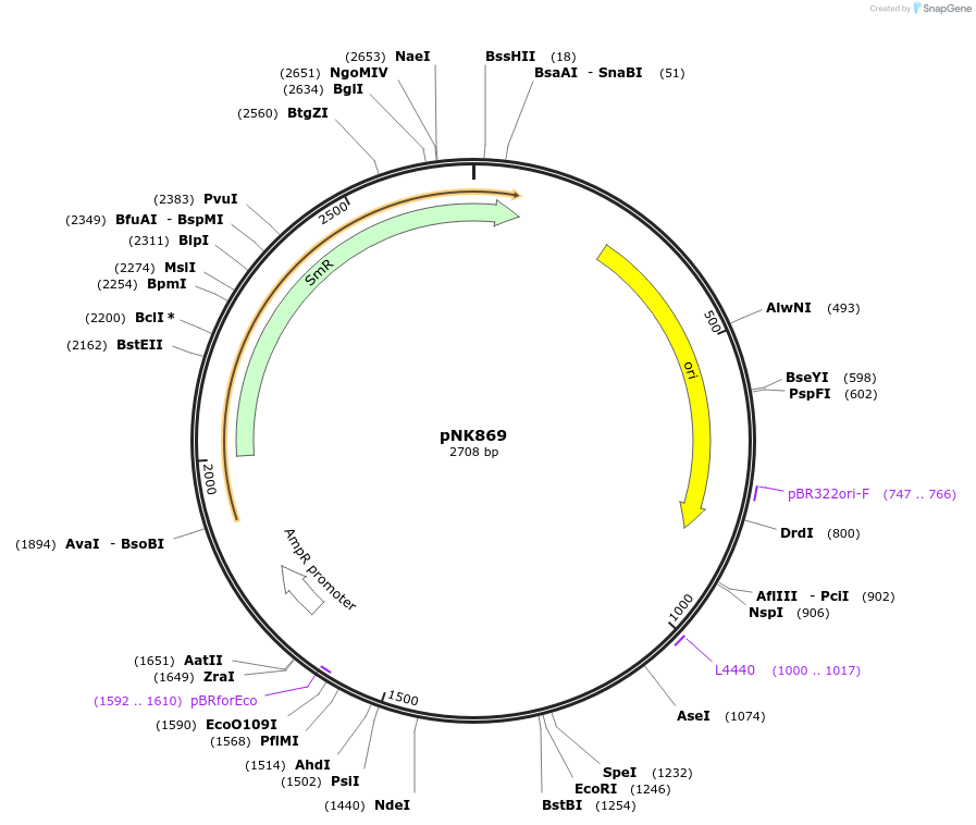 437087_map