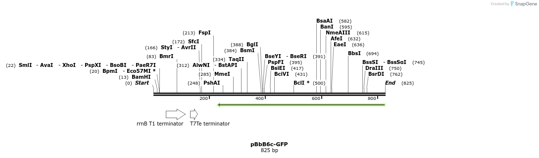 43713_map