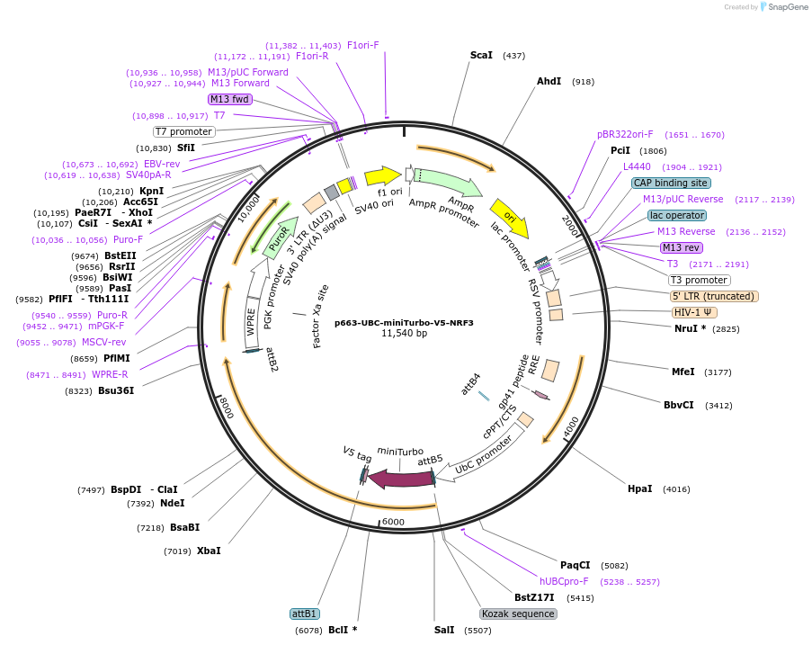 437140_map