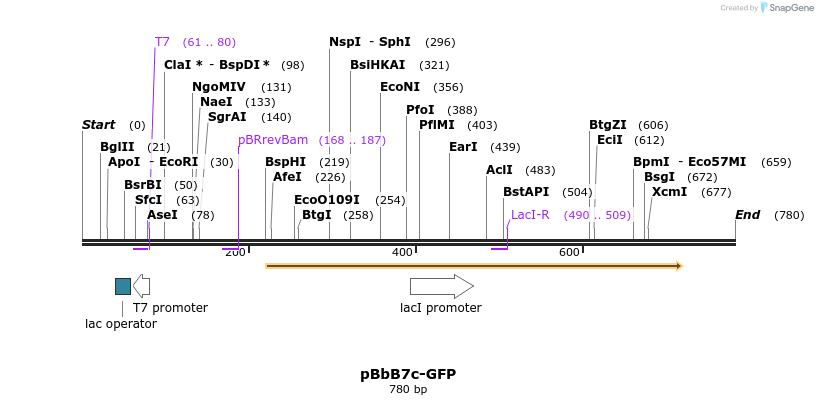 43720_map