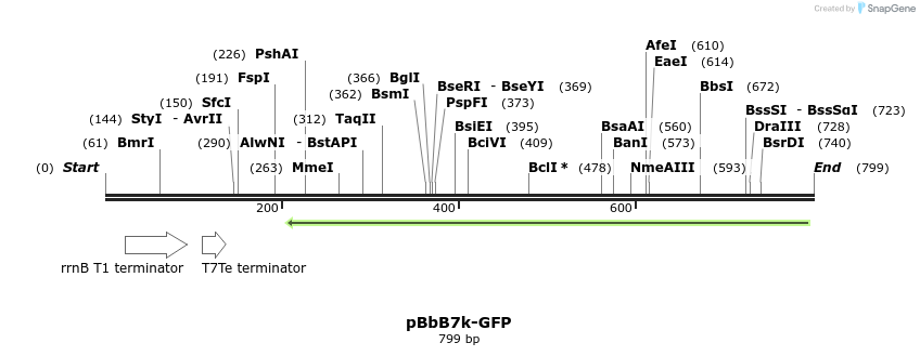 43721_map