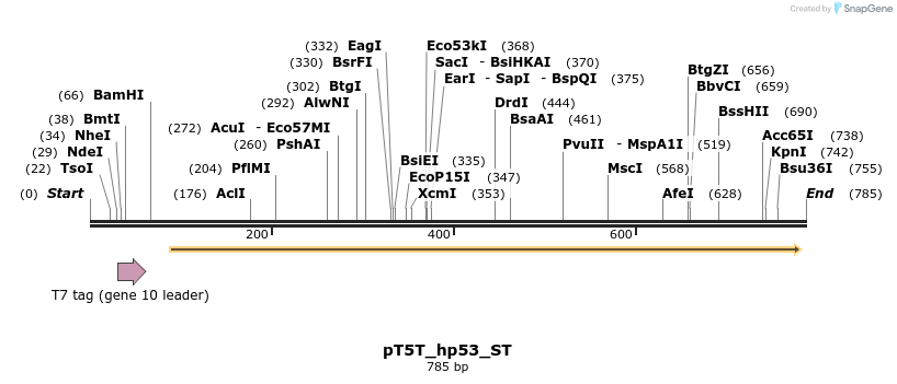 43726_map