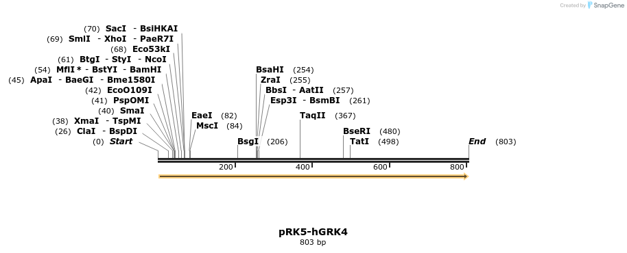 43730_map