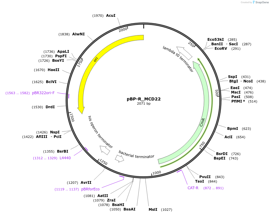 437317_map
