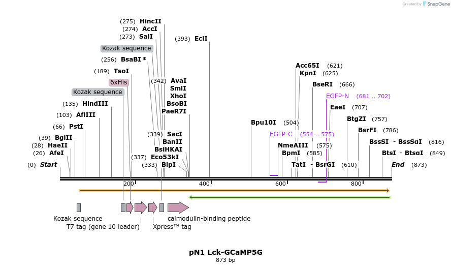 43732_map