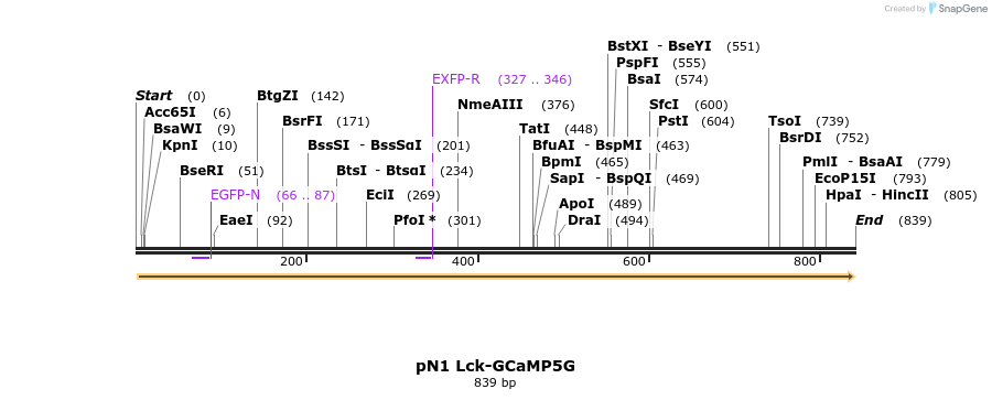 43733_map