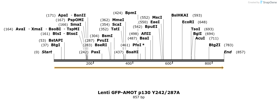 43740_map