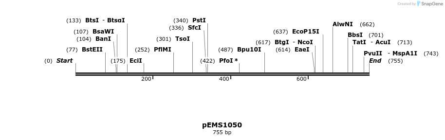 43753_map