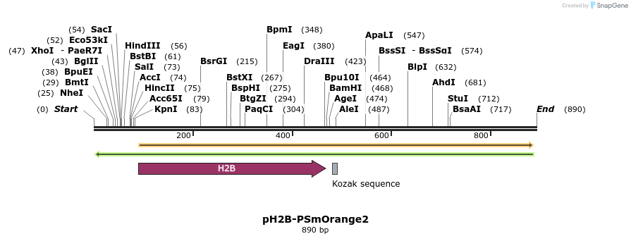 43756_map
