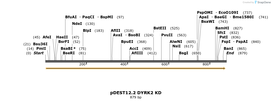 43775_map