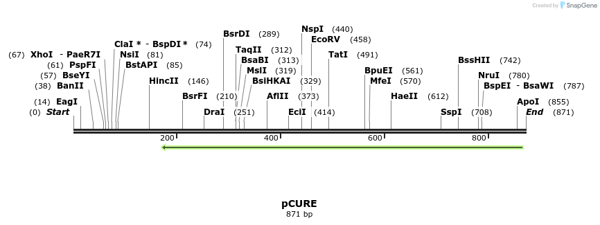 43779_map